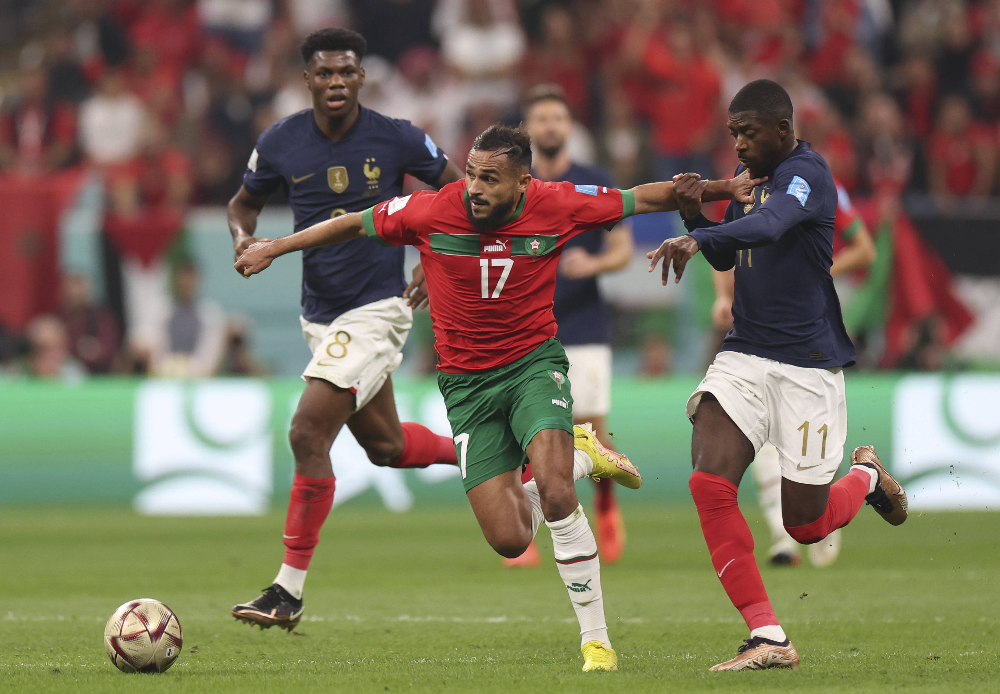 展望未来 展望未来